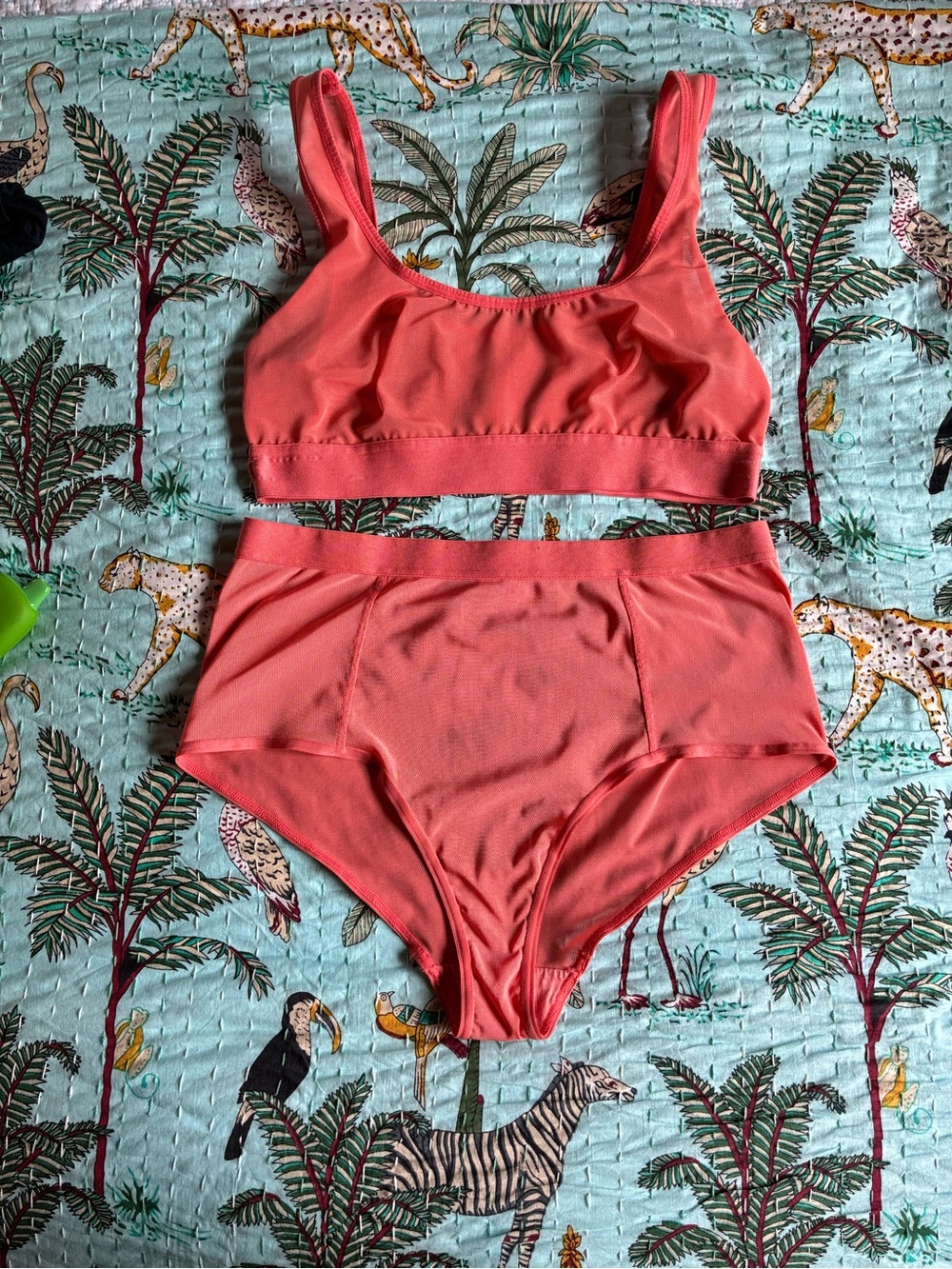 Negative underwear peach bra top and brief set GUC